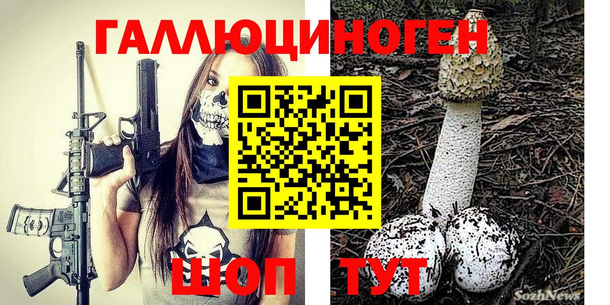 Псилоцибиновые грибы Psilocybe  Псилоцибиновые грибы мухоморы  Кулебаки  Вход с VPN 