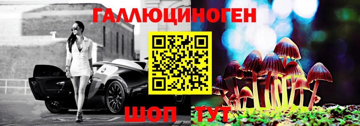Галлюциногенные грибы Cubensis Кулебаки